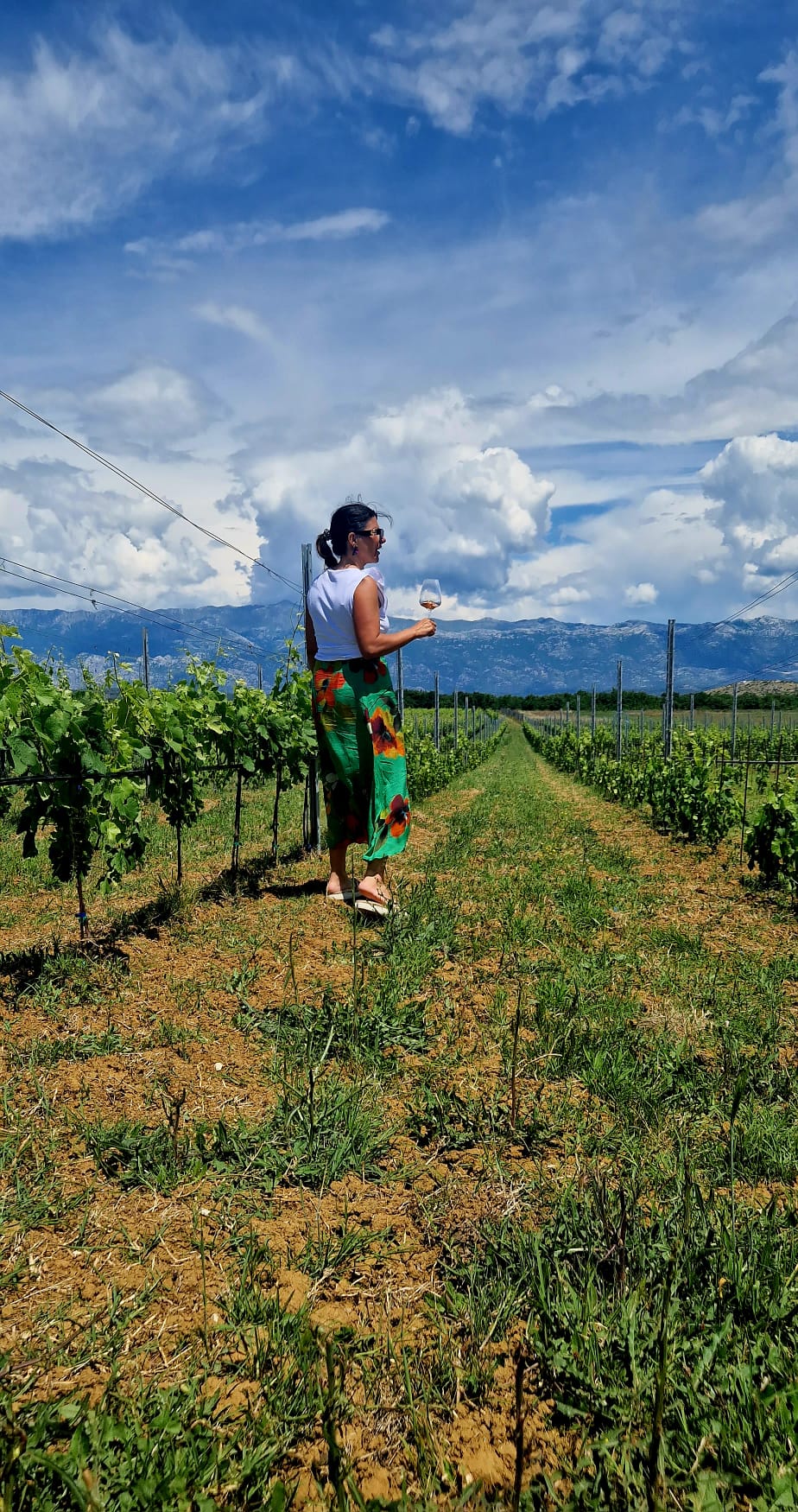 Dragana u vinogradu s čašom