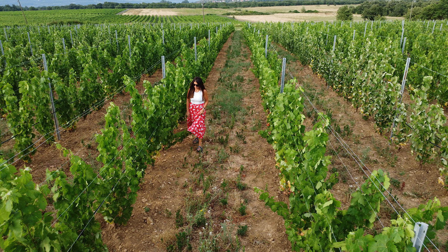 Children laughing in the vineyard